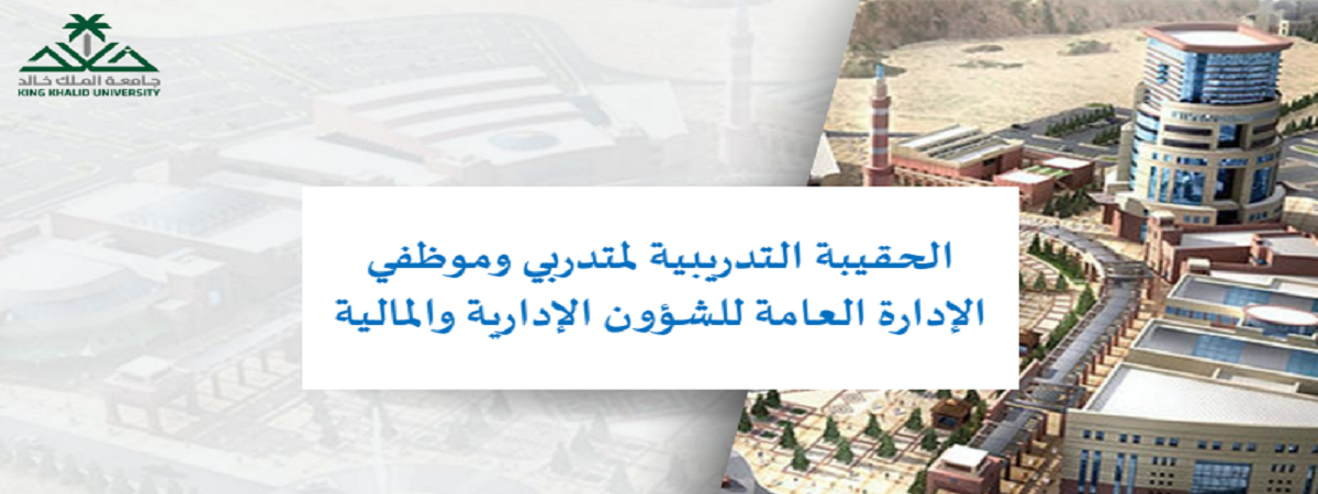 الحقيبة
